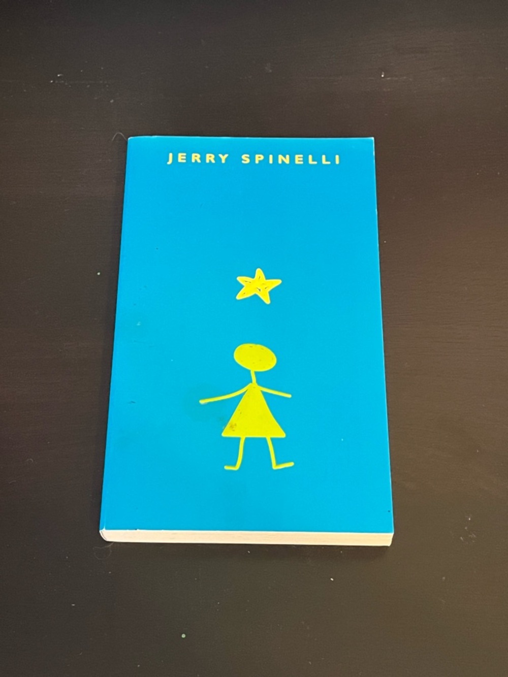 Blue Kids Book Stargirl by Jerry Spinelli book